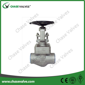 Stainless Steel Forged Globe Valve