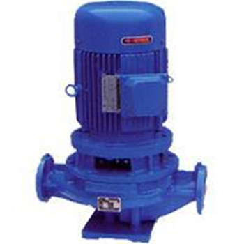 Vertical pipe pump