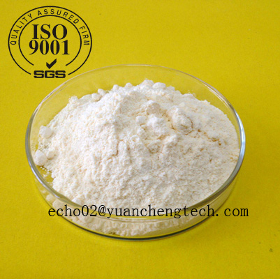 high quality Fluoxymesterone powder  CAS: 76-43-7 