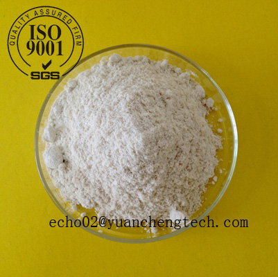 high quality Nandrolone phenylpropionate powder  CAS NO.: 62-90-8