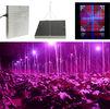 45W LED Grow Light For Hydroponics , Red / Blue LED Plant-growth Light