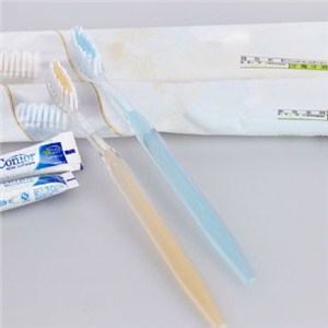 Disposable Toothbrush Kit