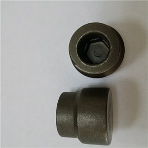 Plug Casting