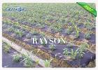 Small Roll UV Treatment Plantex Weed Control Fabric Used for Non Woven Crop Cover