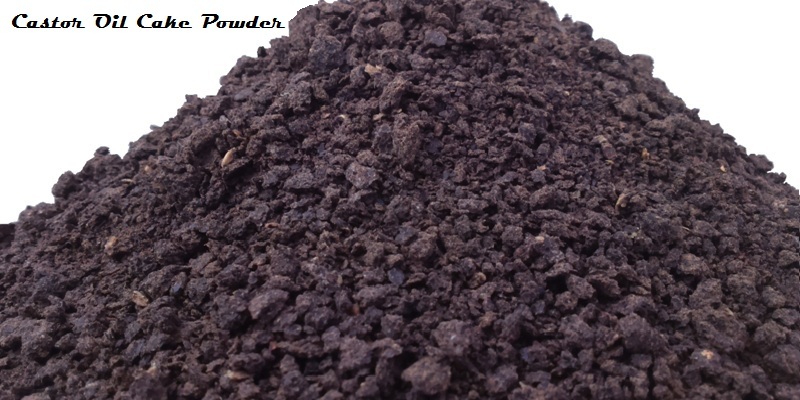 Castor De Oiled Cake (Castor Meal)