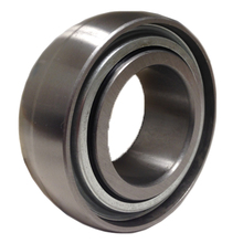 Disc Bearing GW214PPB2