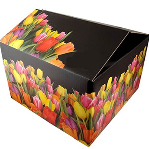 Gift Cardboard Packaging Boxes