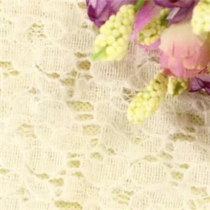 Lace Fabric