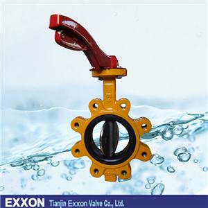 Class 150 Butterfly Valve