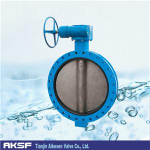 Concentric Butterfly Valve