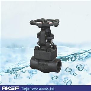 A105 Gate Valve