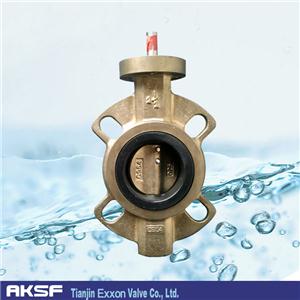 C95800 Butterfly Valve