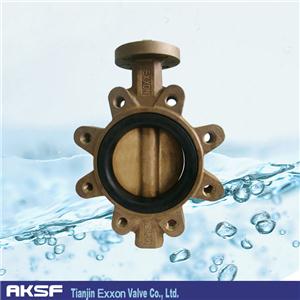 C95800 Butterfly Valve