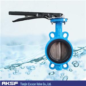 1.4529 Butterfly Valve