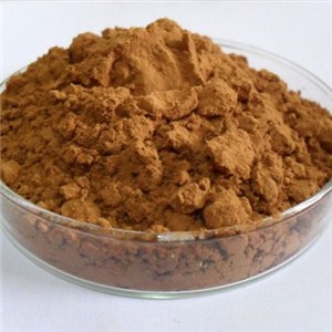 Radix Rehmanniae Extract