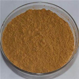 Salvia Extract