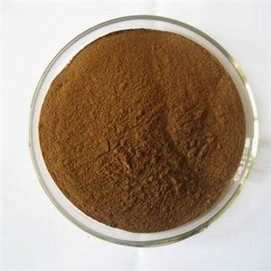 Chasteberry Extract