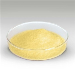 Ginger Extract Powder