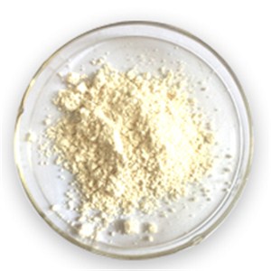 Soybean Extract