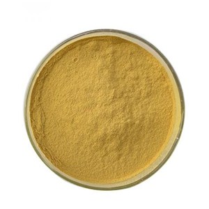 Bacopin Extract