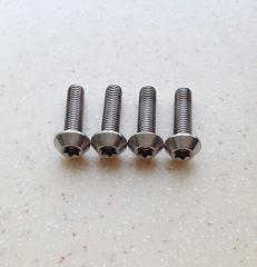 Titanium Bicycle Screws