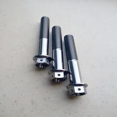 Titanium Flange Bolts With Holes