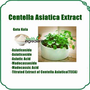 Gotu Kola Extract