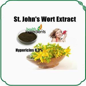 St Johns Wort Extract