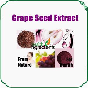 Grape Seed Extract