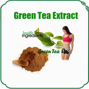 Green Tea Extract