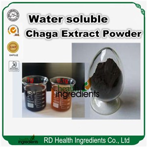 Chaga Extract