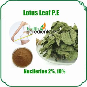 Lotus Leaf Extract