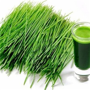 Barley Grass Powder