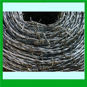 Barbed Wire FENCING