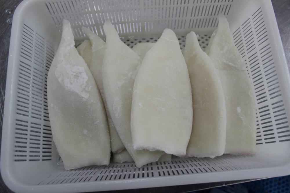 frozen squid tube IQF-Todarodes Pacificus