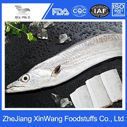 Frozen Hairtail for Supermarket Imported Octopus