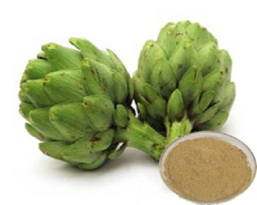 skype sabriatess9 sara@hbdjtrade.com  Wild Yam Extract