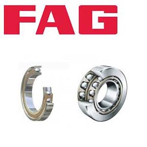 FAG Bearings