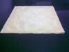 STEC Bulletproof shield for car door