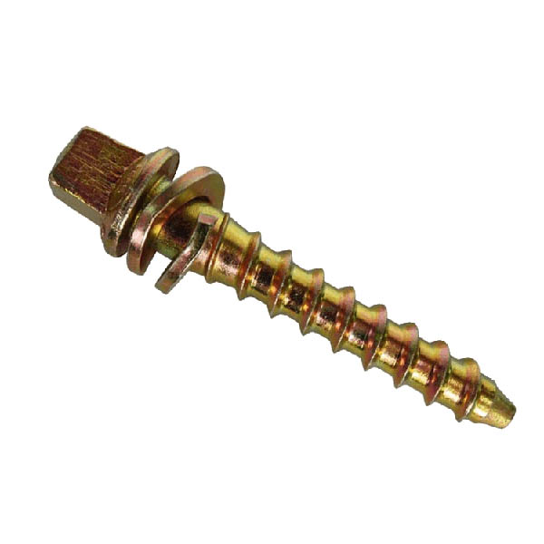 Coach Screw