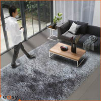 Brioso long pile shaggy area rug