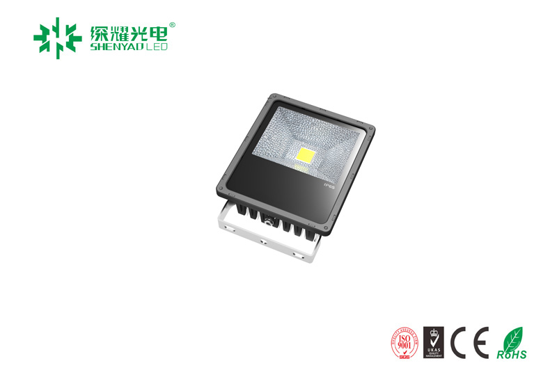20W Die-casting aluminum body LED flood light series-C