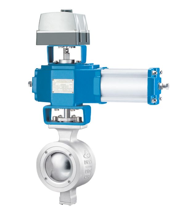 Segment Ball Valve