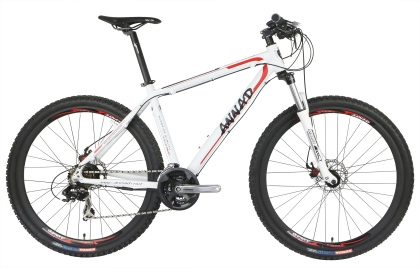 E-Mountain Bikes MNL1 29er