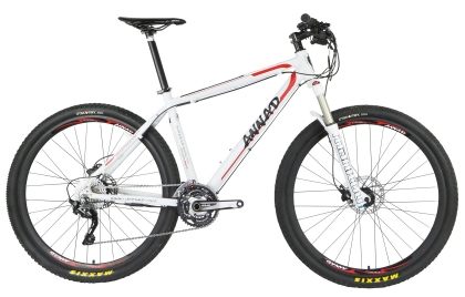 E-Mountain Bikes MNL6 29er