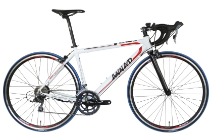 E-Road Bikes RNL1