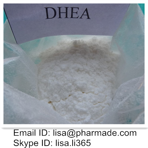 DHEA Bodybuilding Supplements 53-43-0