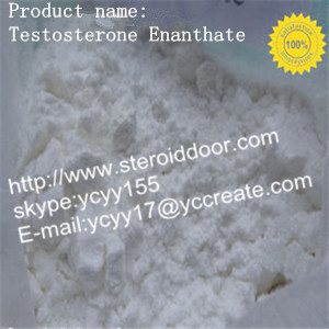 Testosterone enanthate powder and injectable liquids