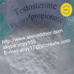 raw Testosterone phenylpropionate powder China exporter