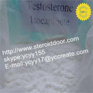 raw Testosterone isocaproate powder China exporter